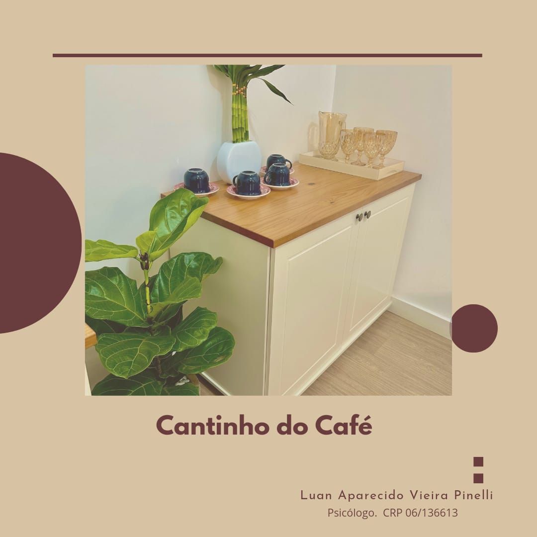 Luan Aparecido Vieira Pinelli-12