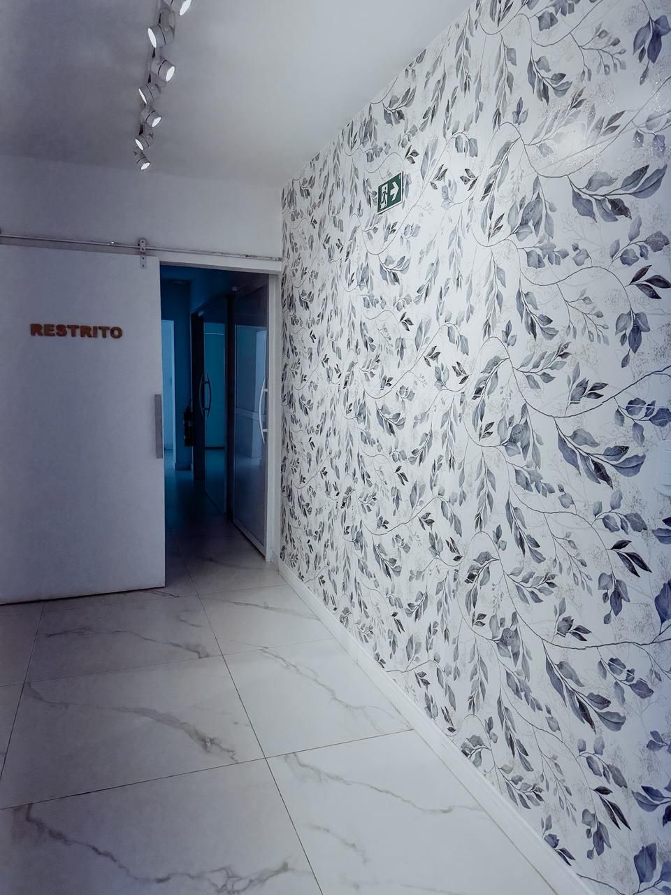 Fernando Menezes  Vieira-3