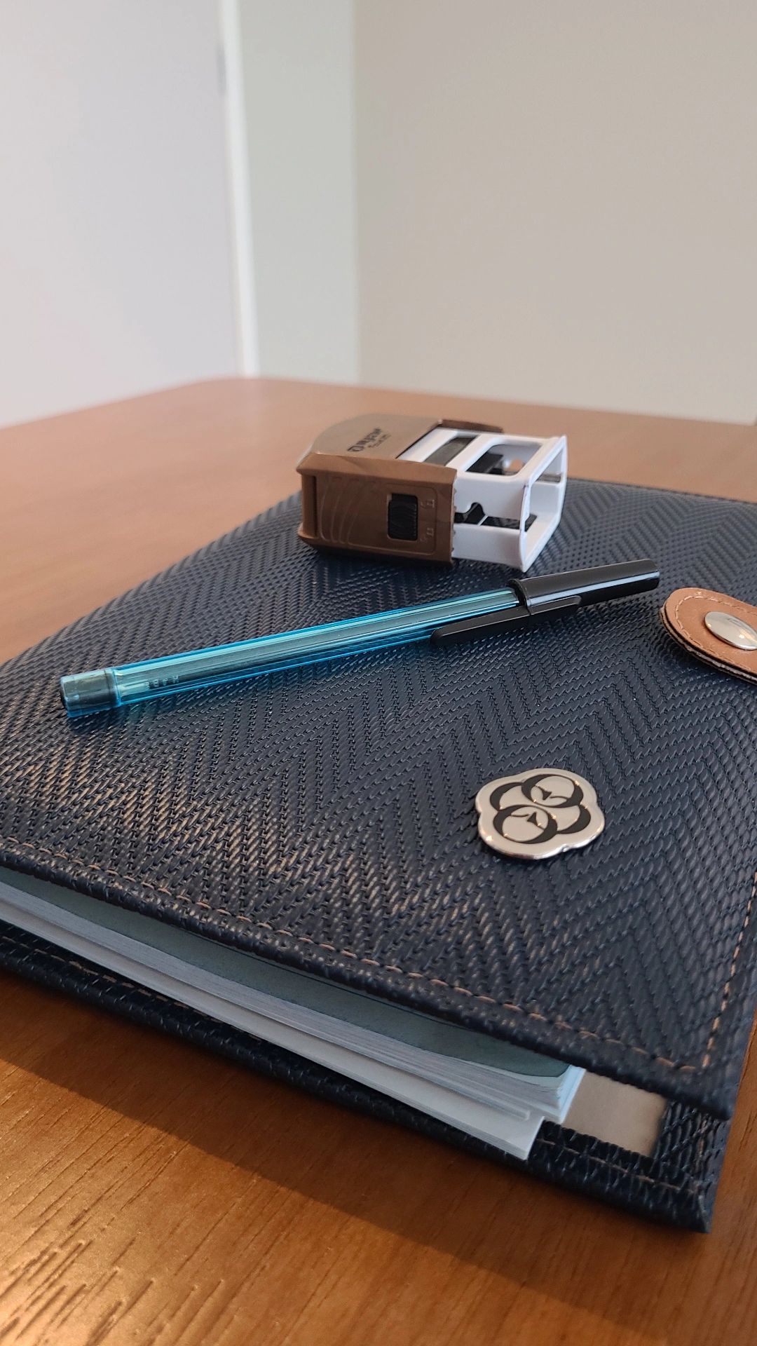 Gabriela Cirqueira-2