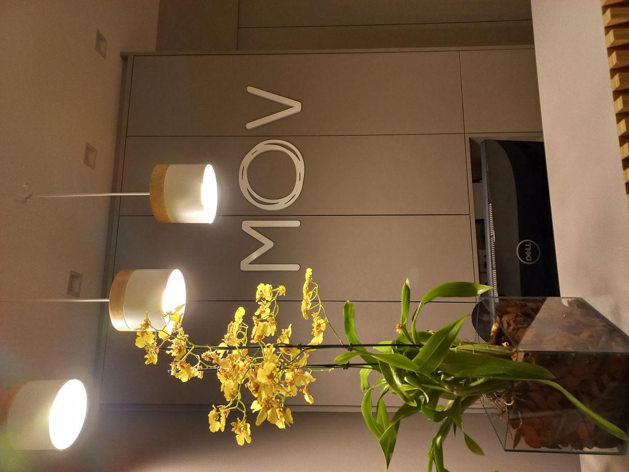 Priscila Lacerda Bassi-8