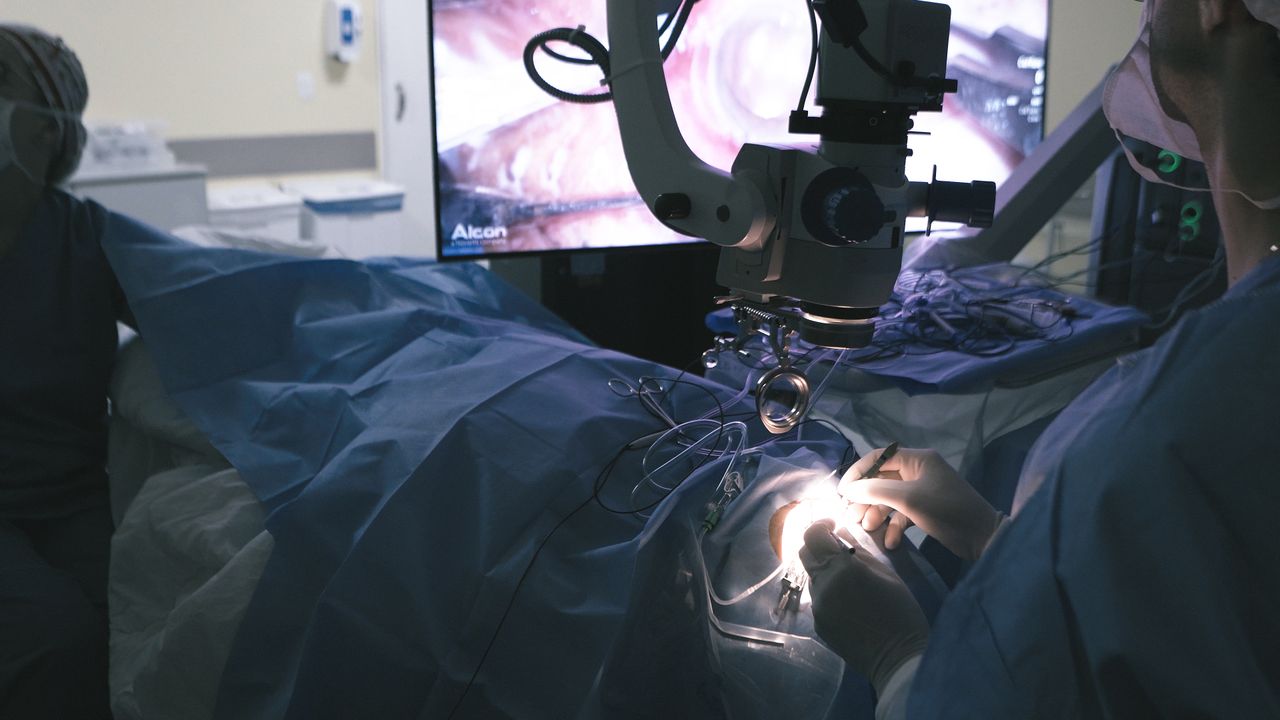 Carlos Augusto Moreira Neto-7