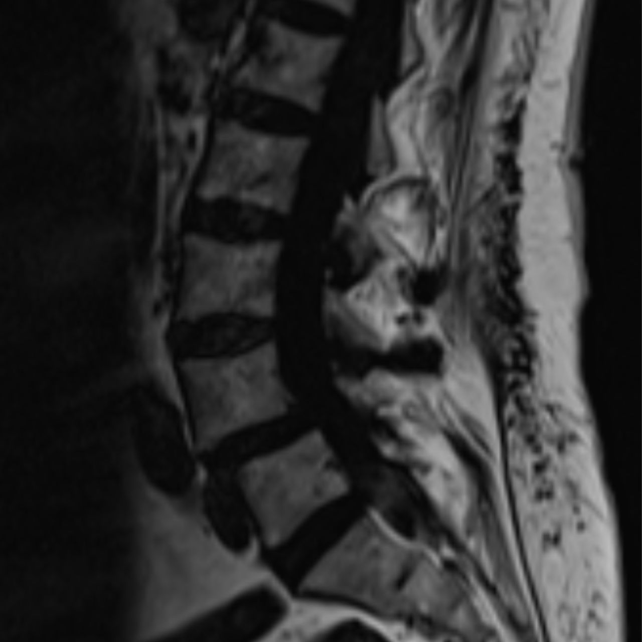 David Tafur Muñoz-2032