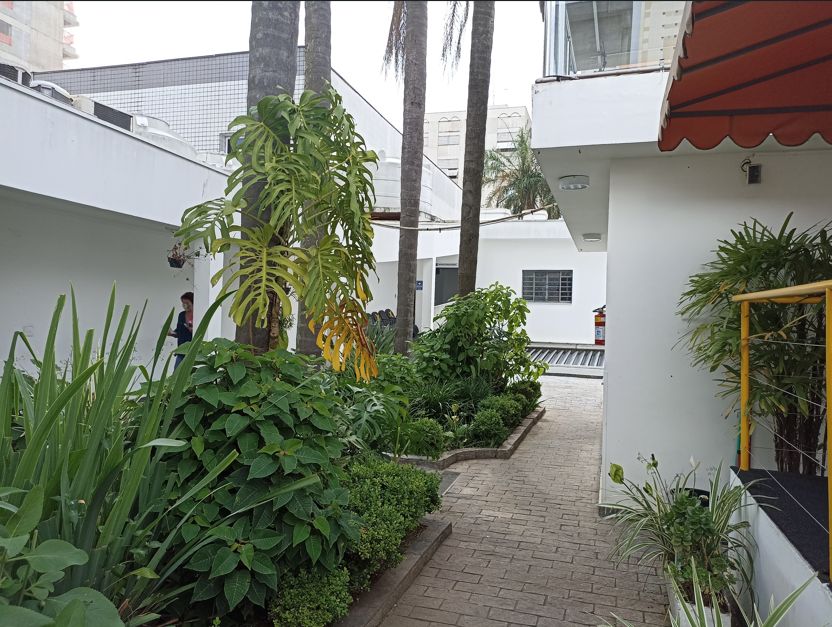 Pedro Mvovi Sozinho-1