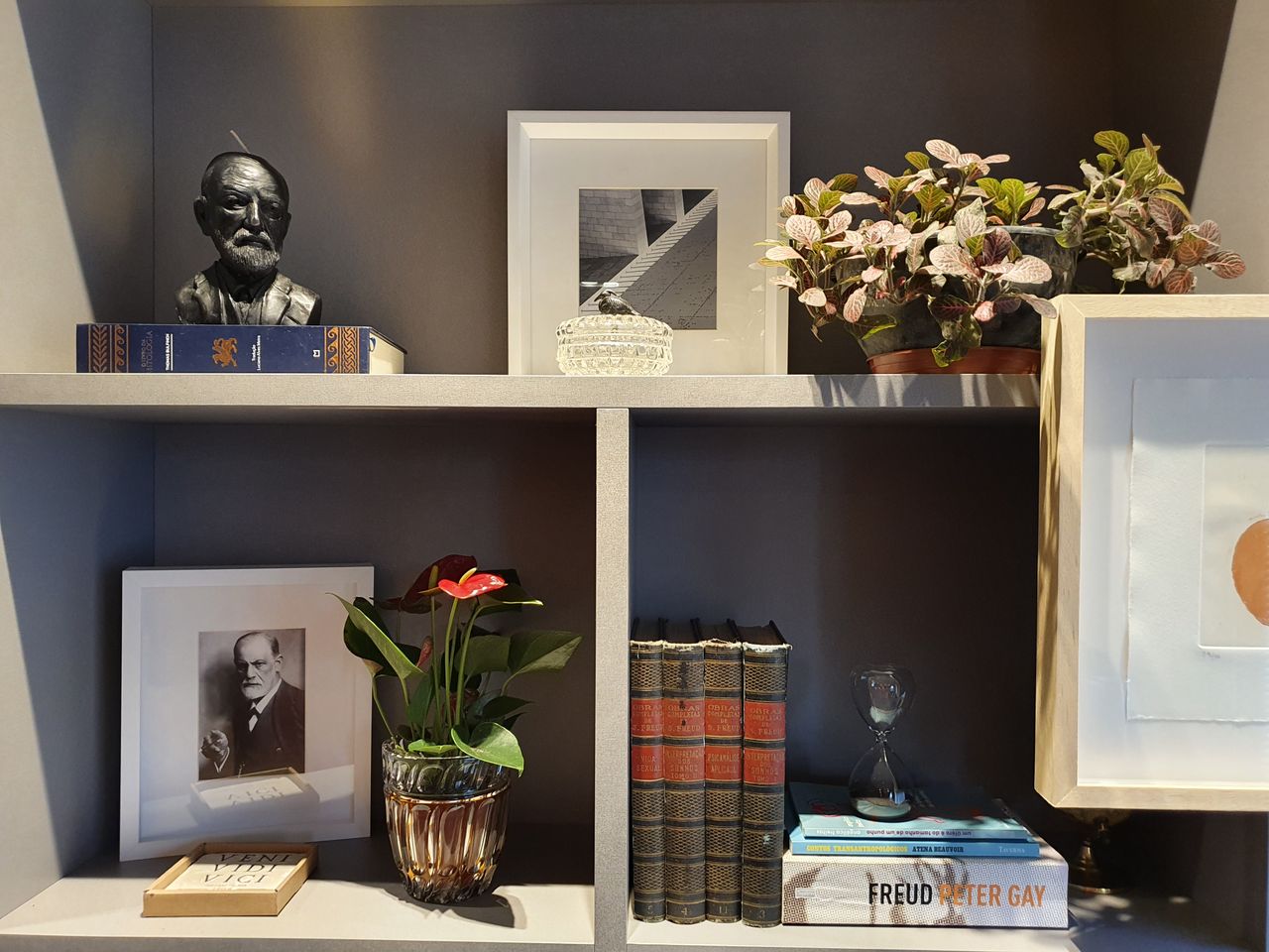 Leonardo Librelotto Rubin-8