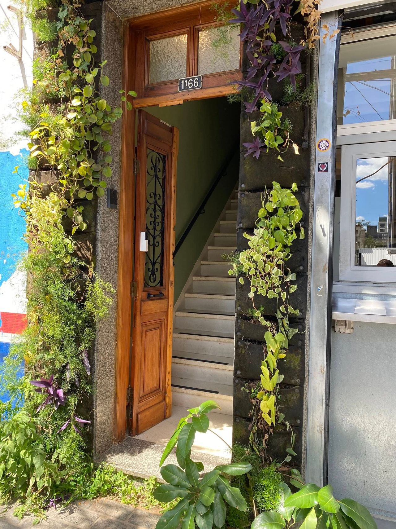 Leticia Ribas Bassan-7