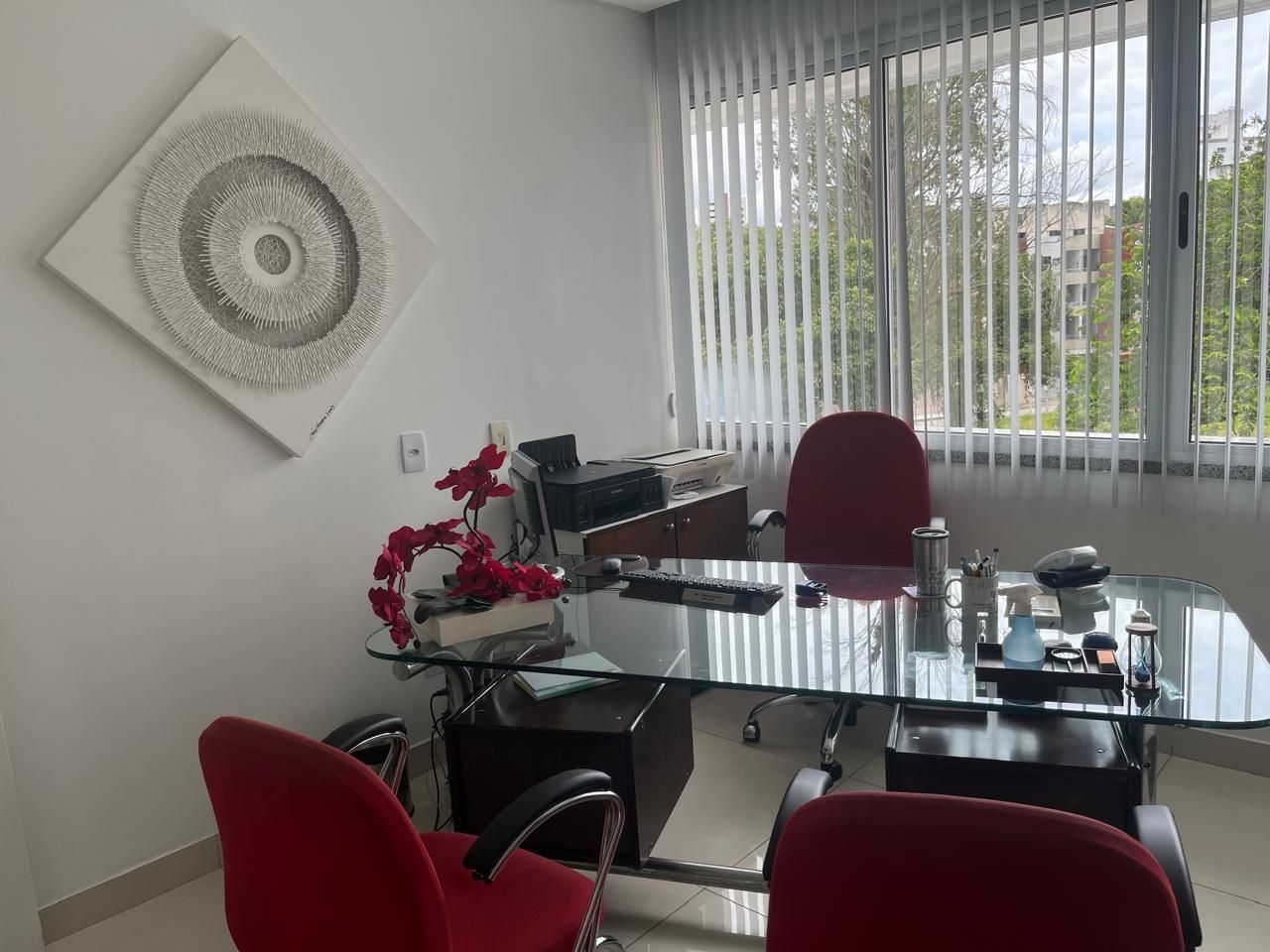 Tales De Carvalho Câmera-4