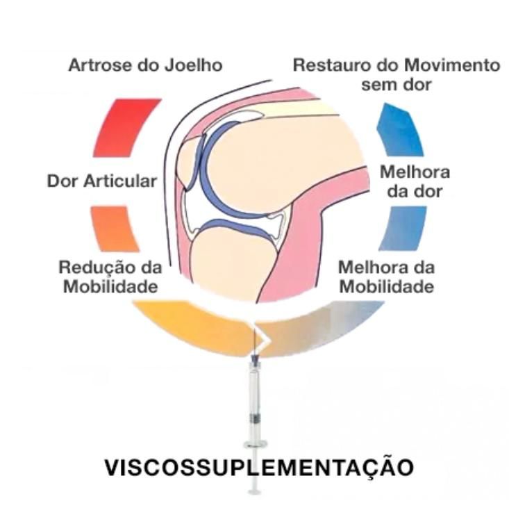Jônatas Laurindo Giacomini-29