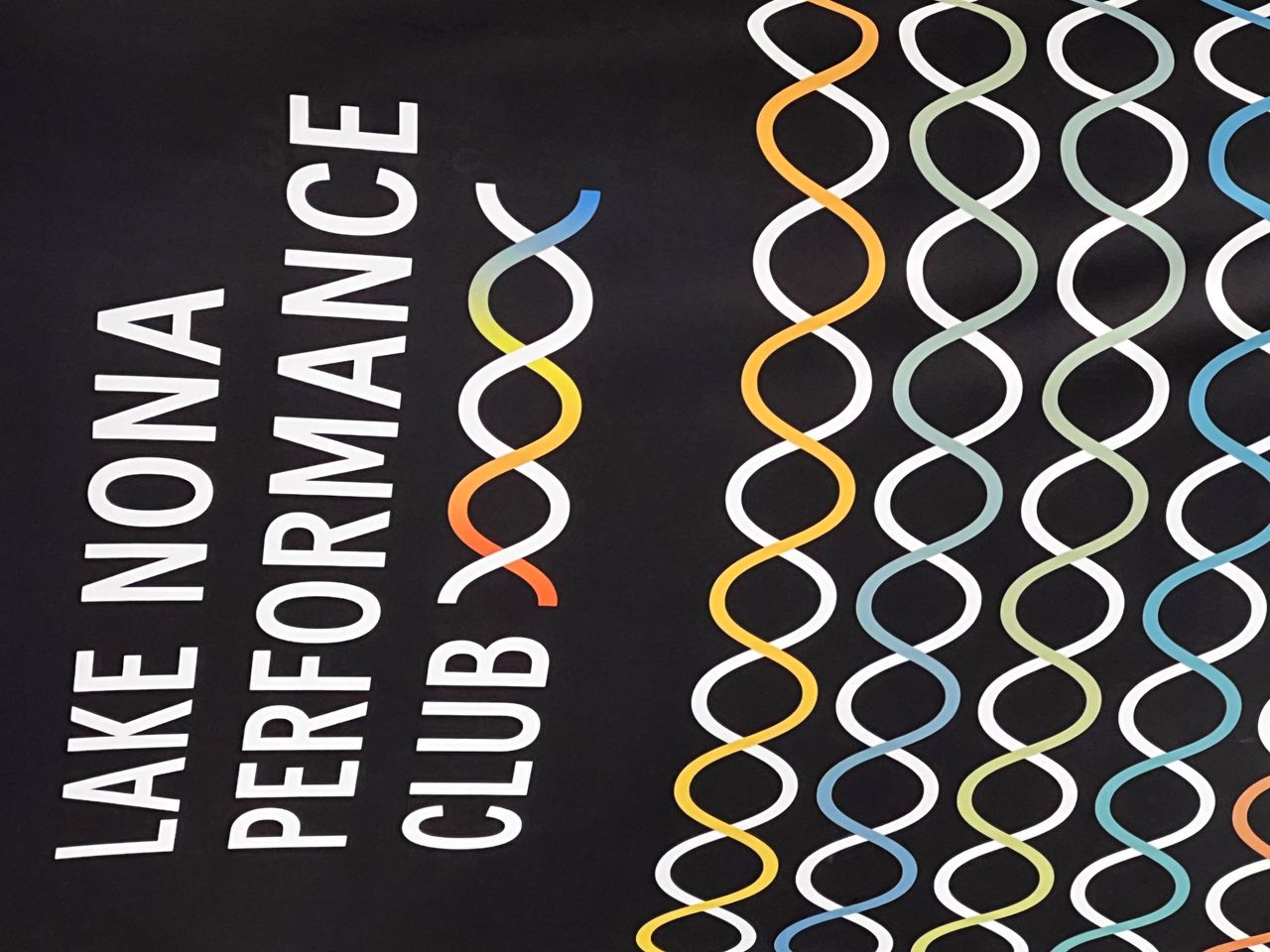 Carolina Therezo Galliano-2