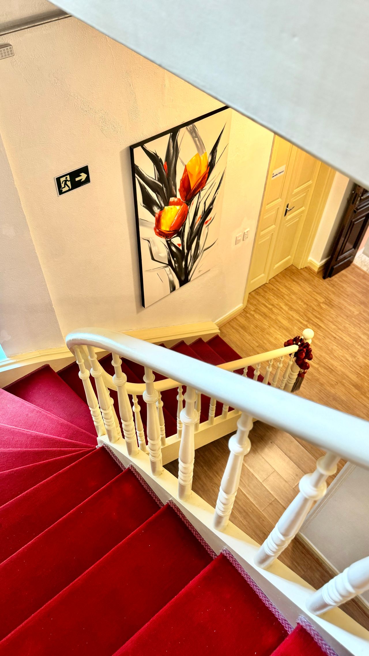 Sávio Lugon Moulin Elias-13