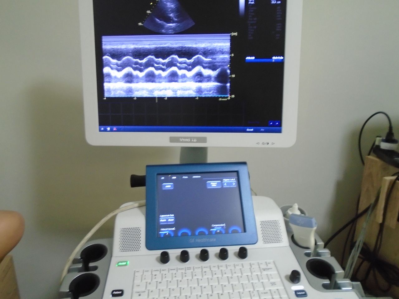 Haroldo Gomes Nascimento-5