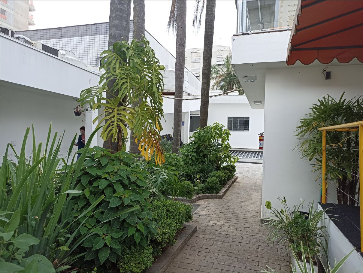 Roberto Meriqui Neto-1