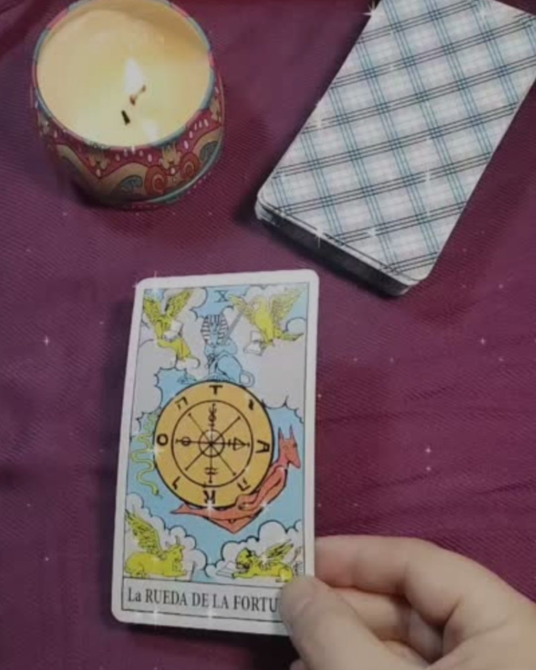 María Fernanda  Ibáñez Martínez -4