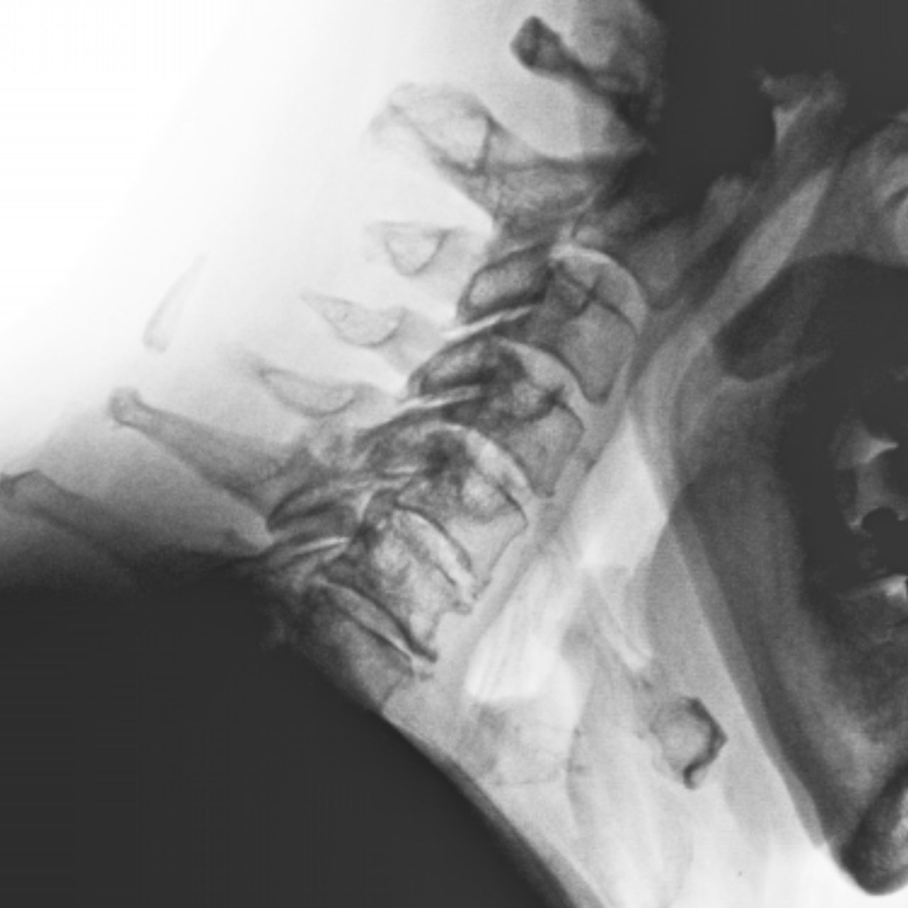 David Tafur Muñoz-1853