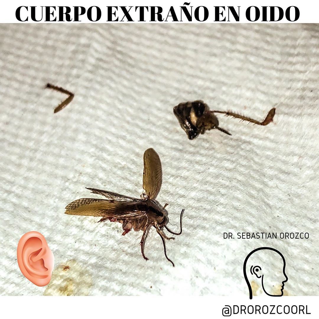 Sebastian Orozco Arteaga-21