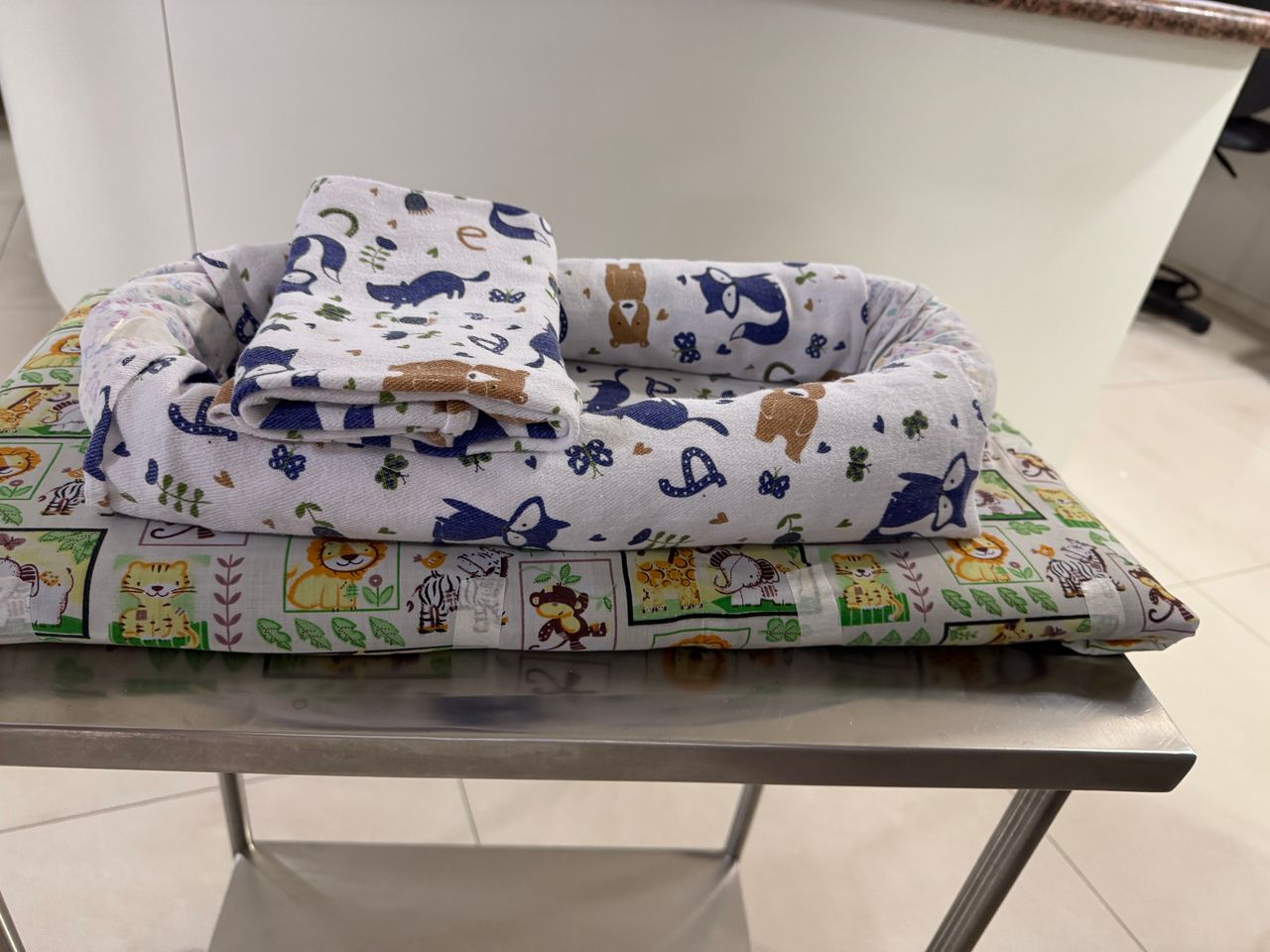 Daniella Cristina Demes-31