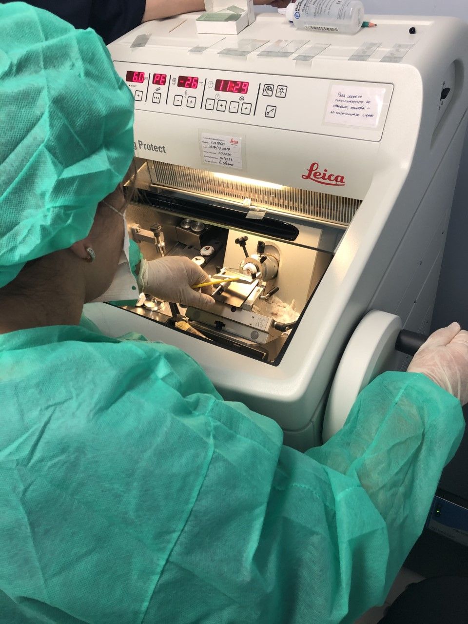 Thales Costa Bastos-13