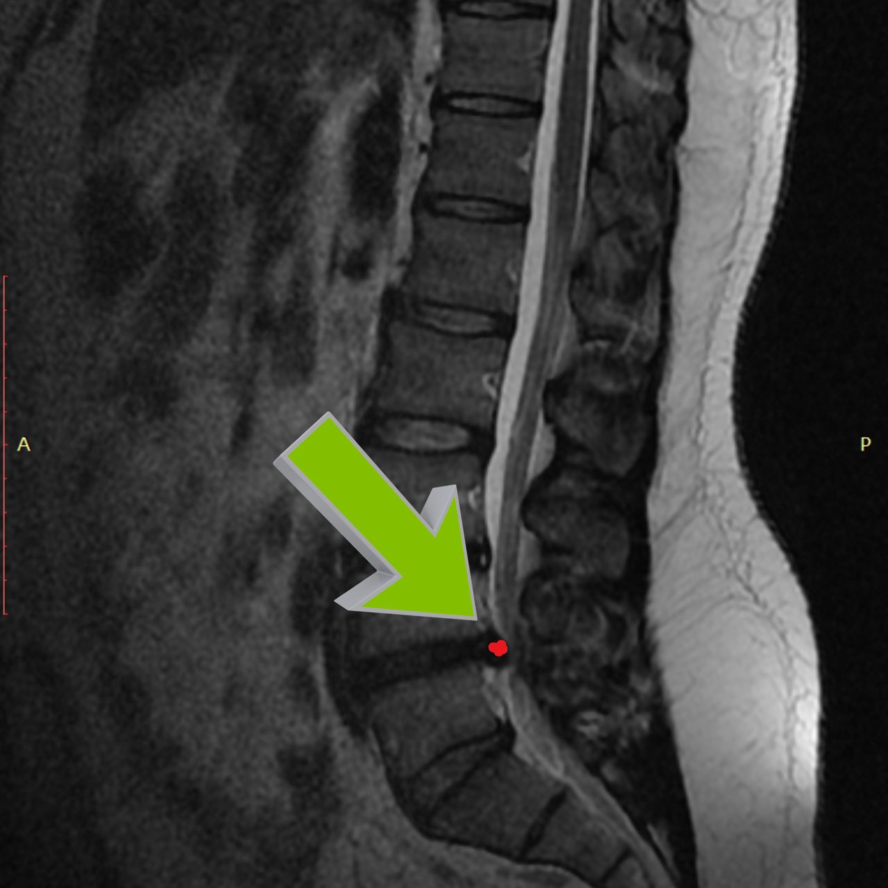 David Tafur Muñoz-2181
