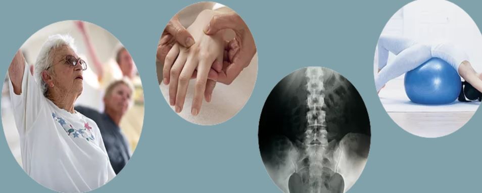 Guilherme Guadagnini Falotico-8