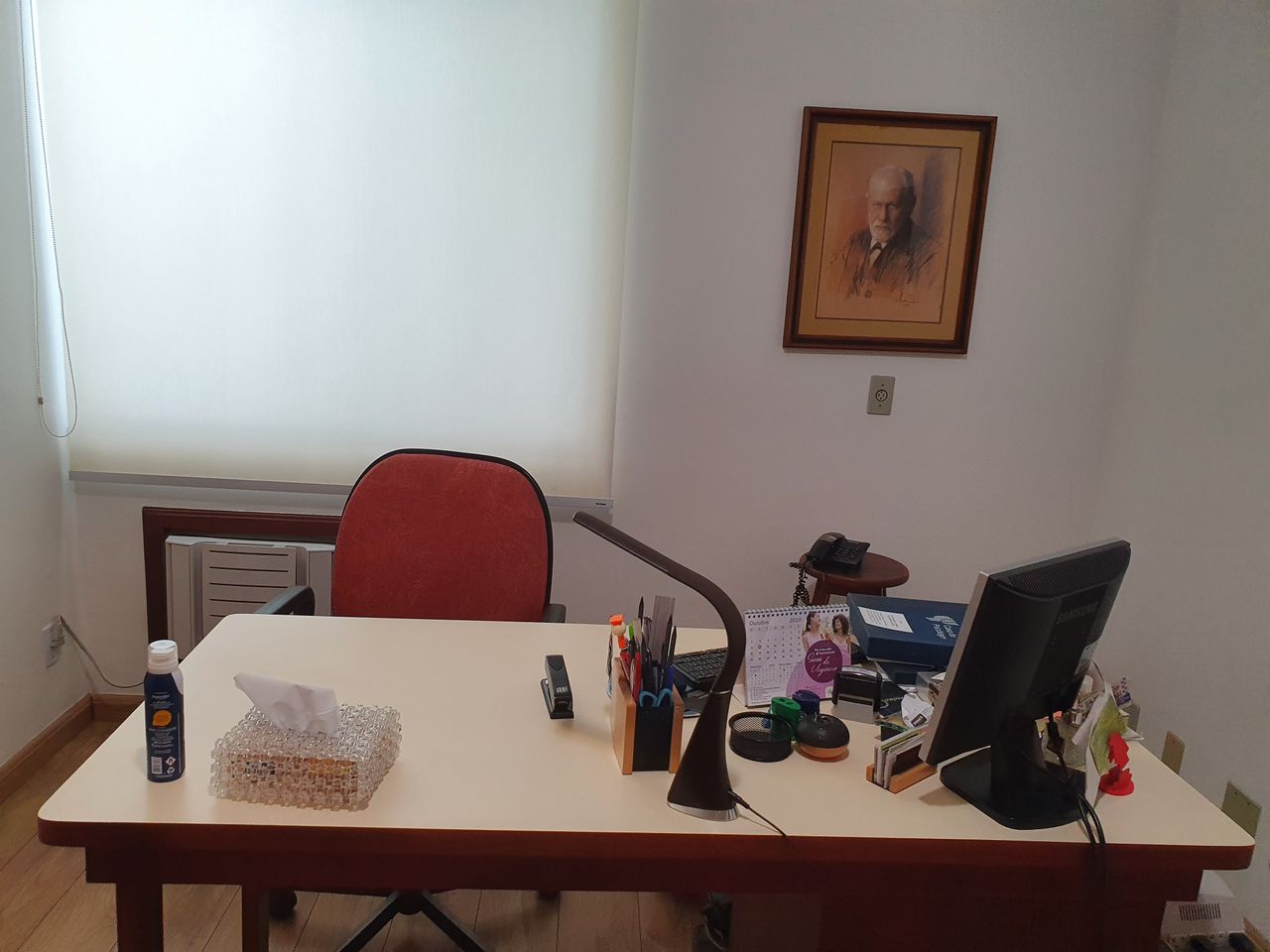 Paula Senna Xavier De Lima Bovo-3