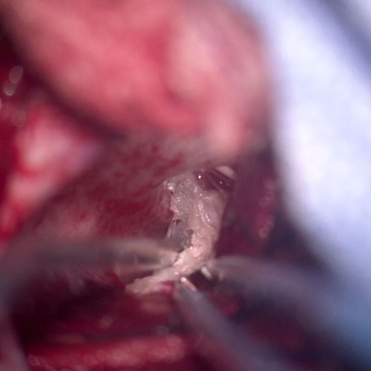 David Tafur Muñoz-1358