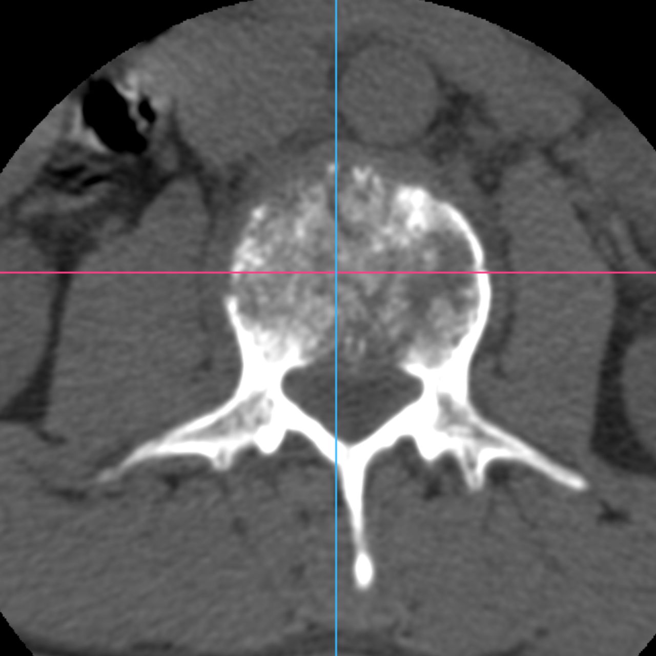 David Tafur Muñoz-1835