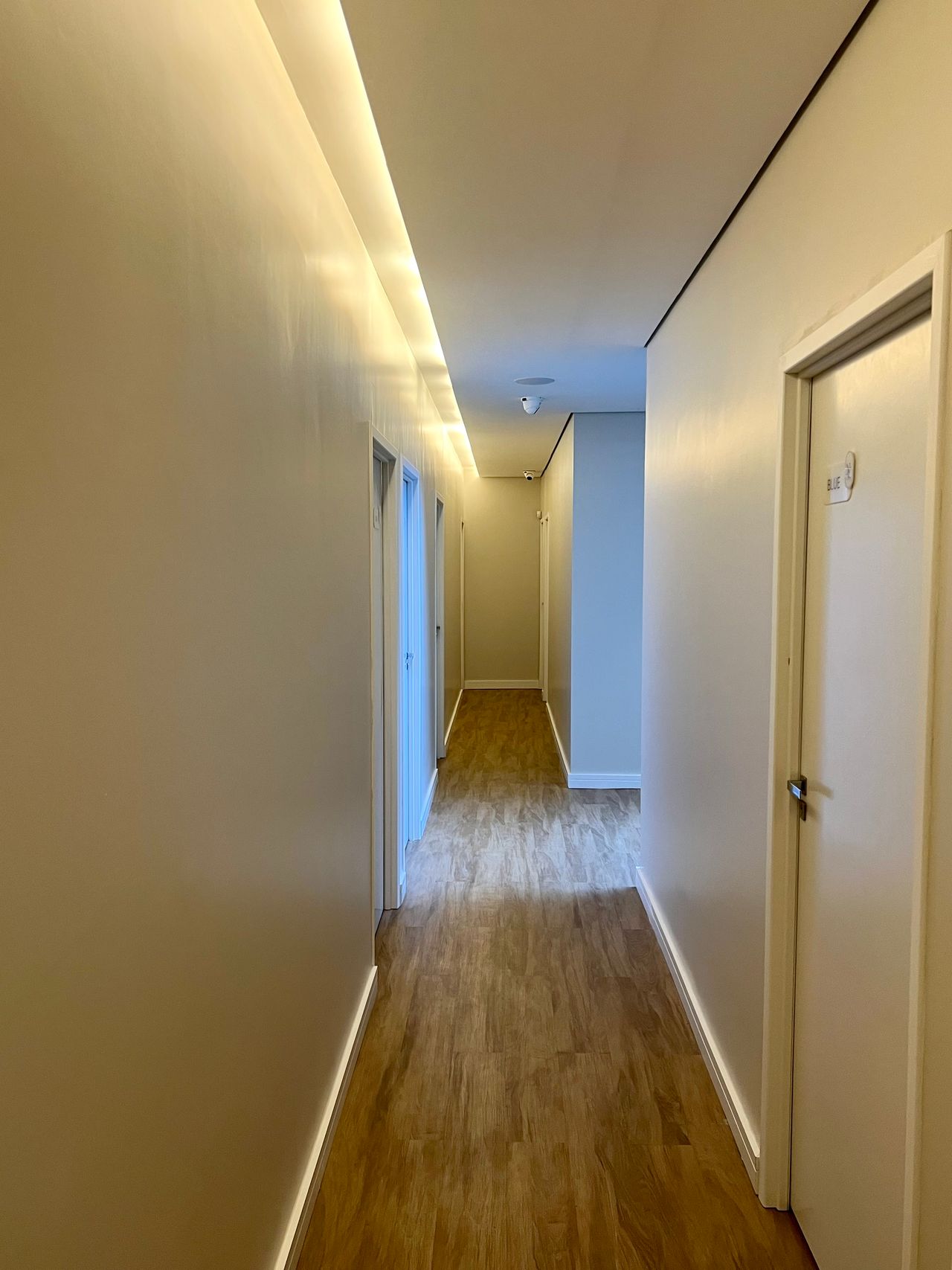 Renato Vasconcelos-4