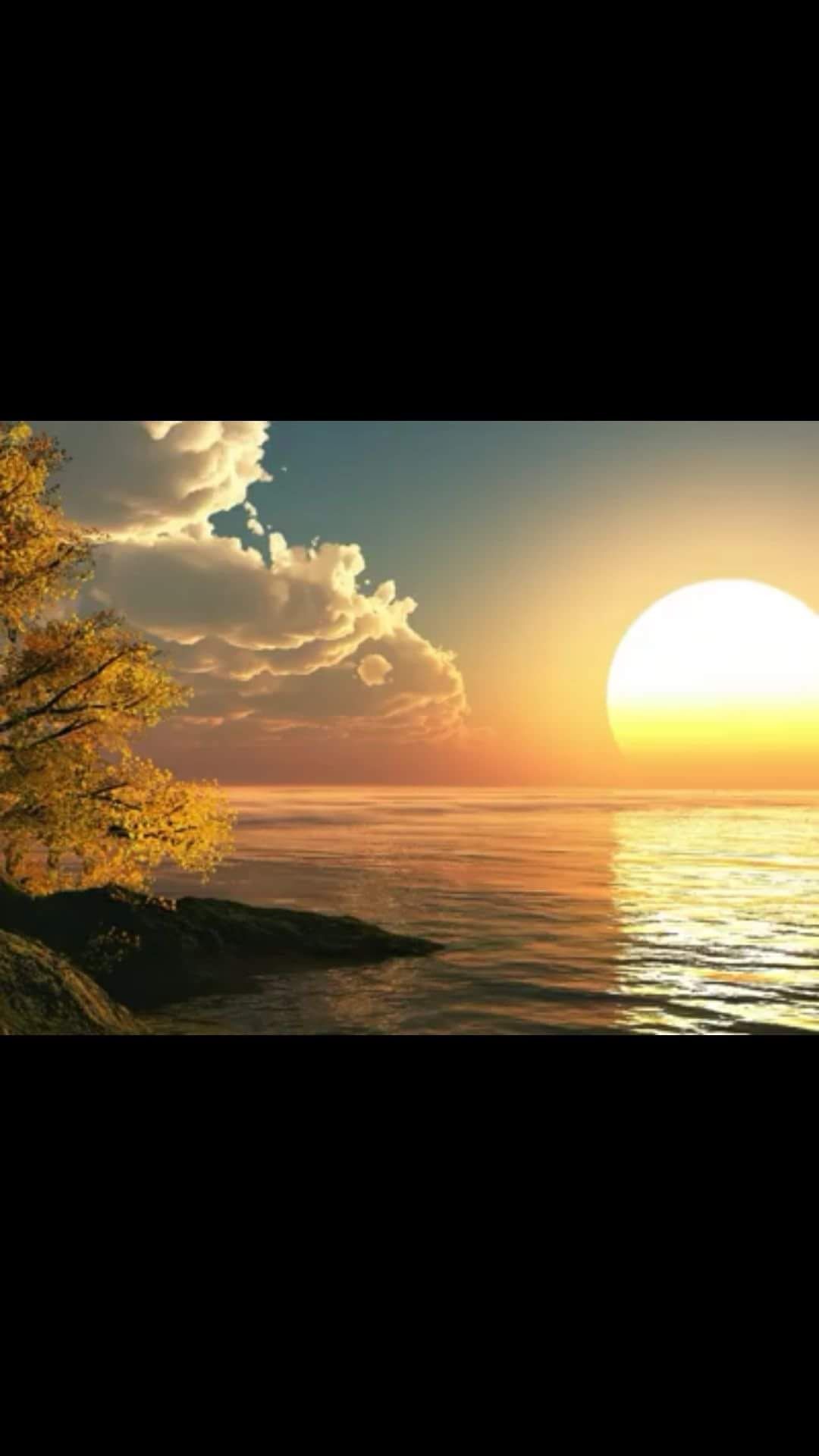 Pedro  Paulo Ferreira  -4