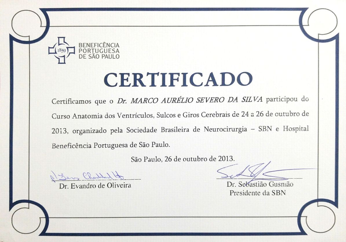 Marco Aurélio Severo Da Silva Versiani-29