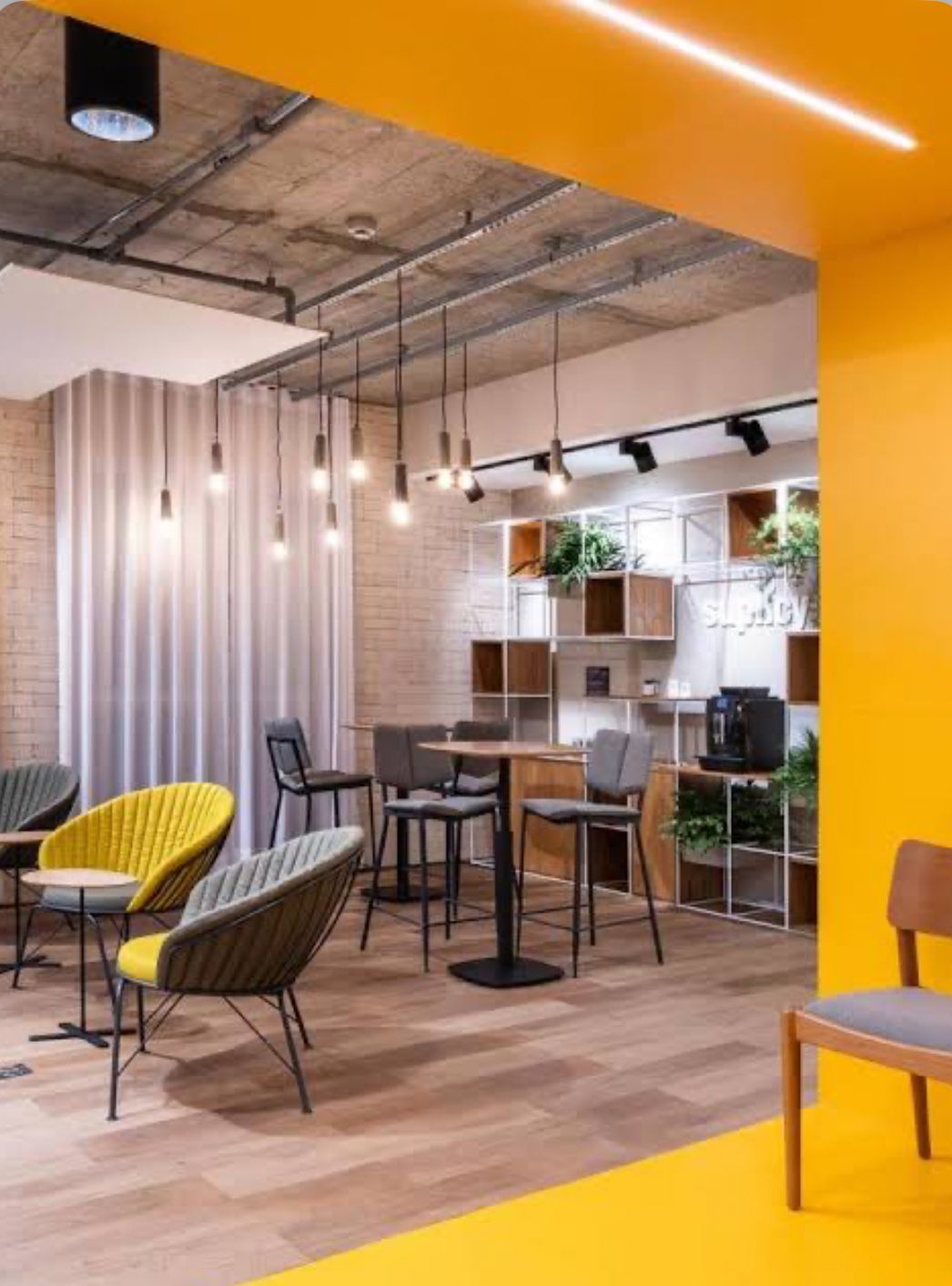 Sarah Isabela Rodrigues-1