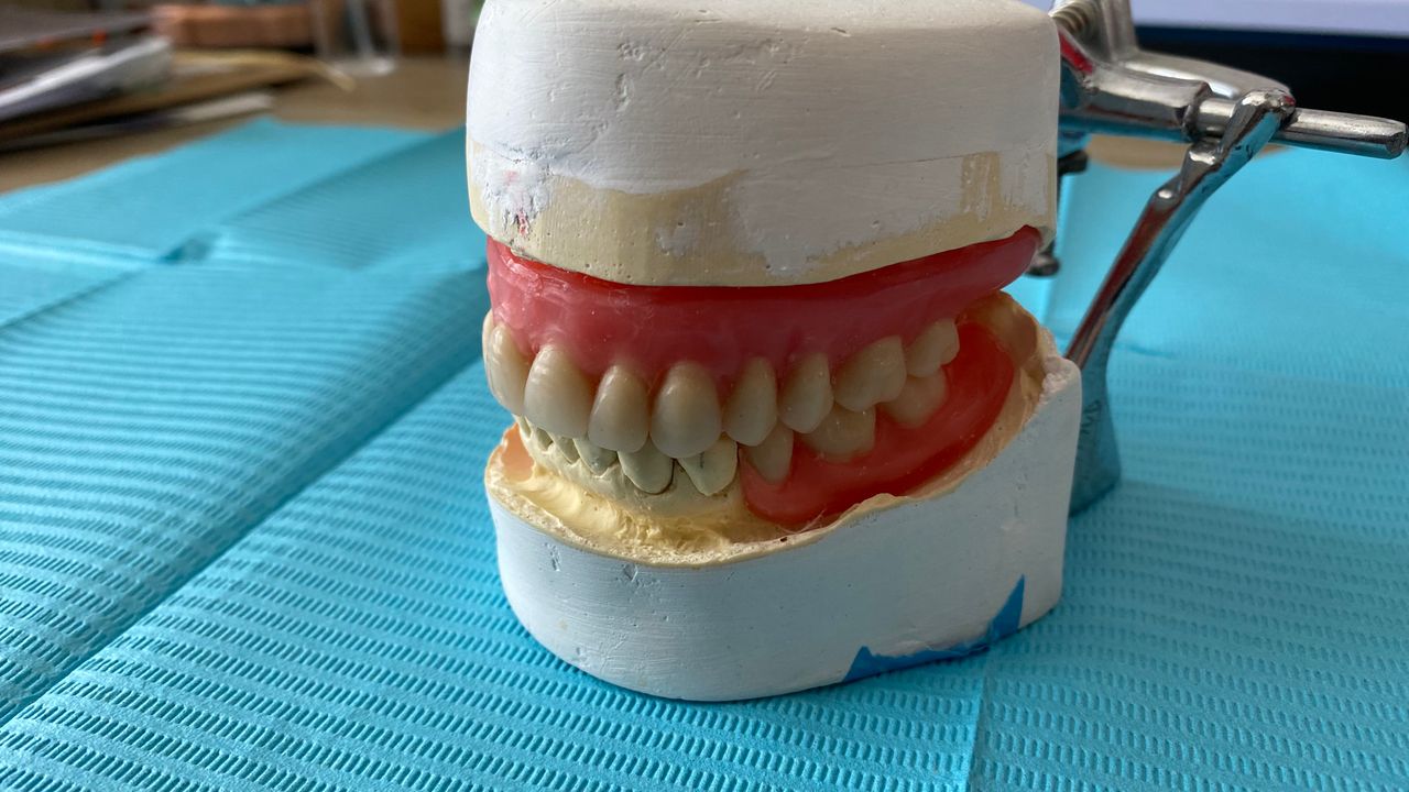 Gonzalo Guzmán Alfaro-6