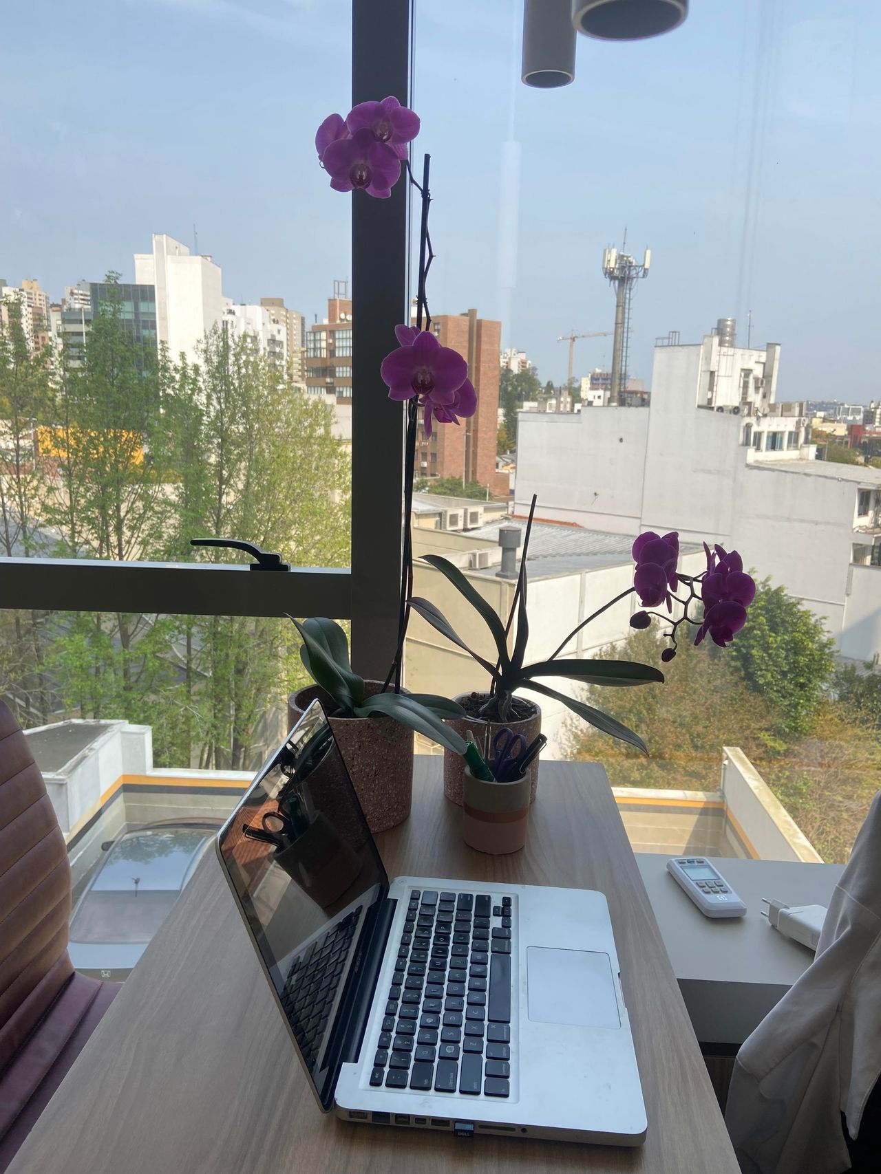 Poliana Espíndola-3