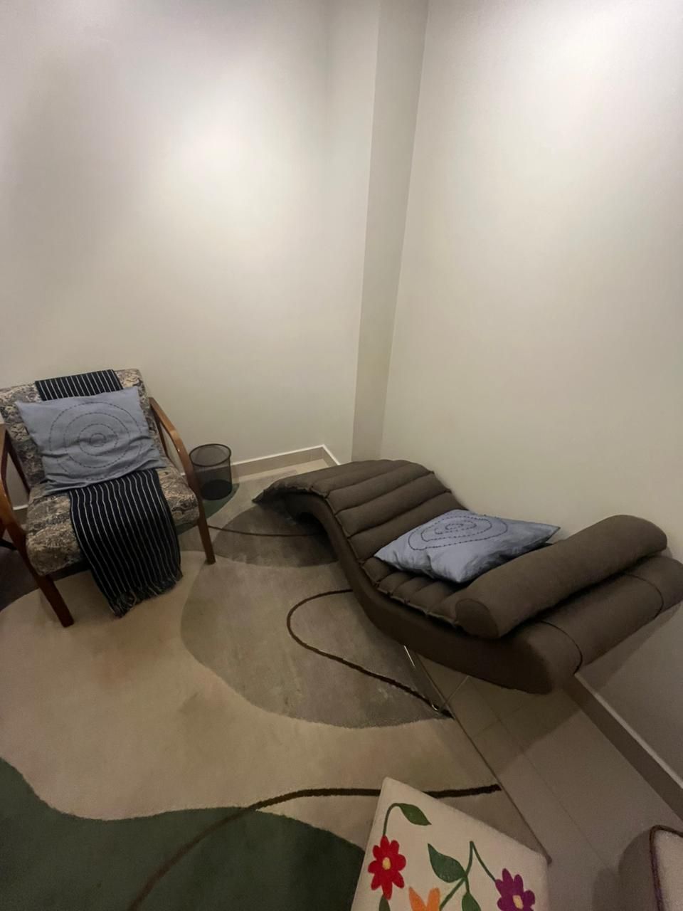 Ana Luiza Zana Martins De Castro-5