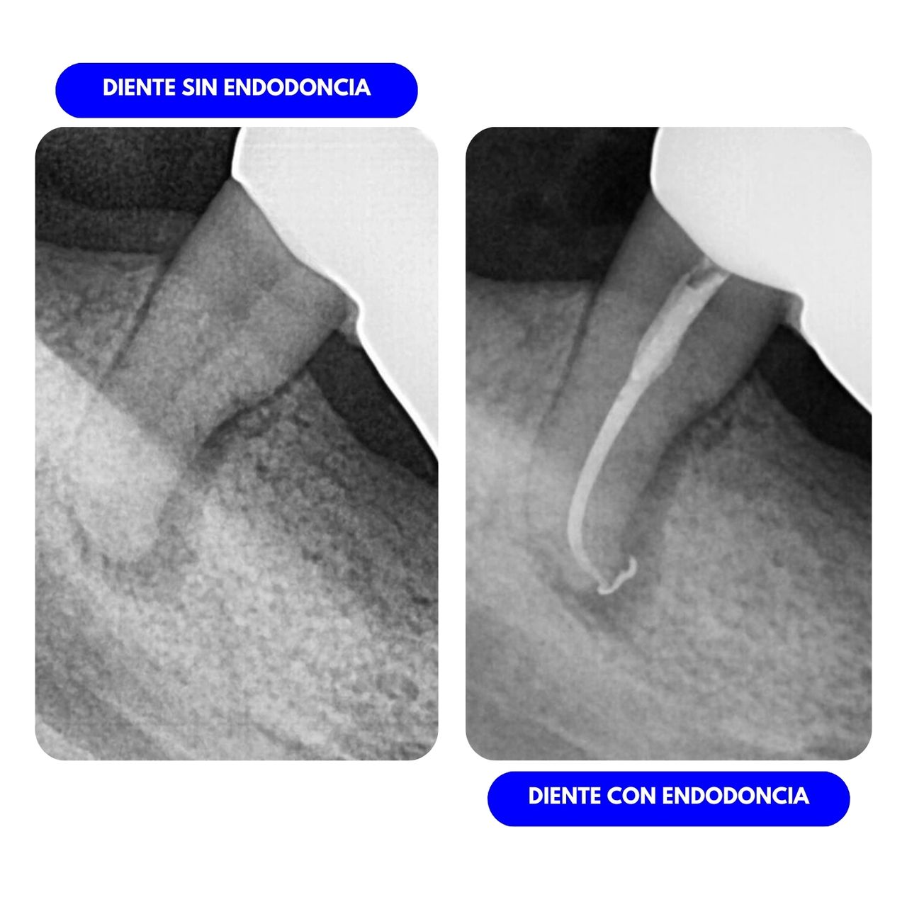 Juliana Vanegas Sánchez-3