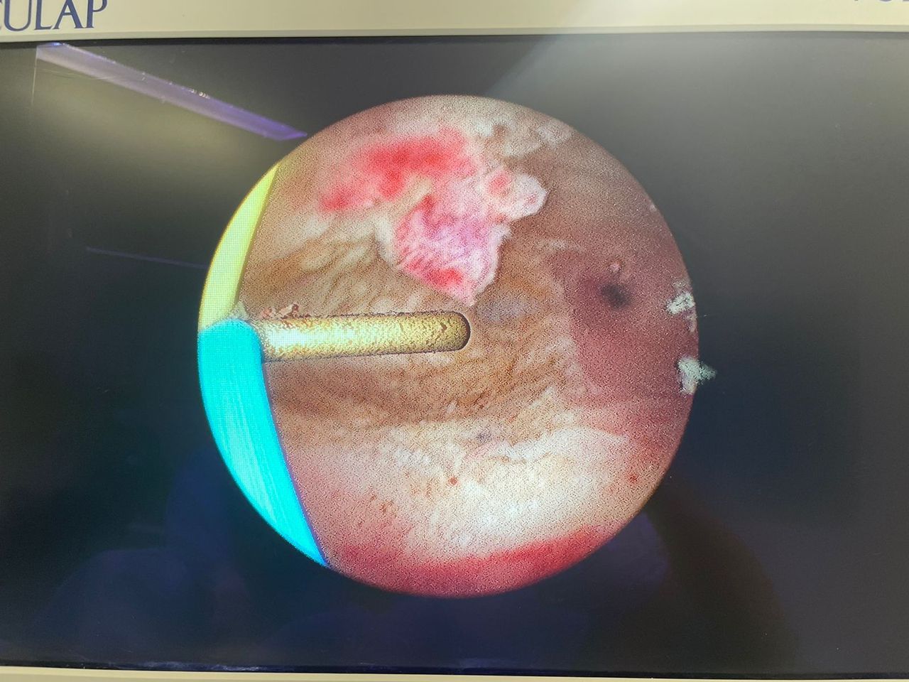 João Guilherme Pinto Vinagre-3