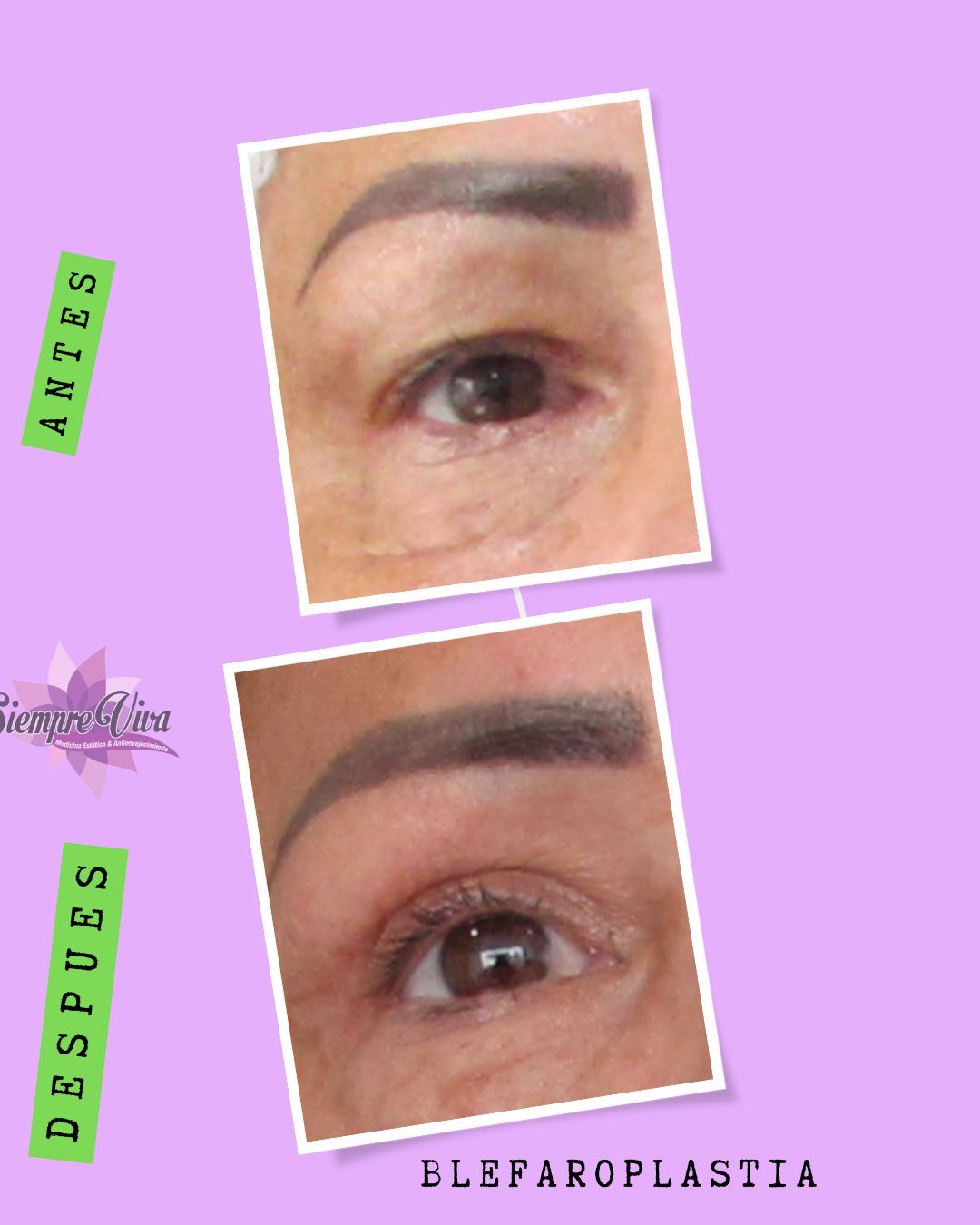 Luz Bibiana Flórez Giraldo-8