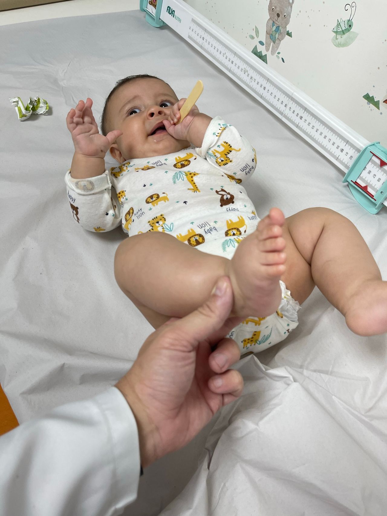 Luis Felipe De Camargo-24