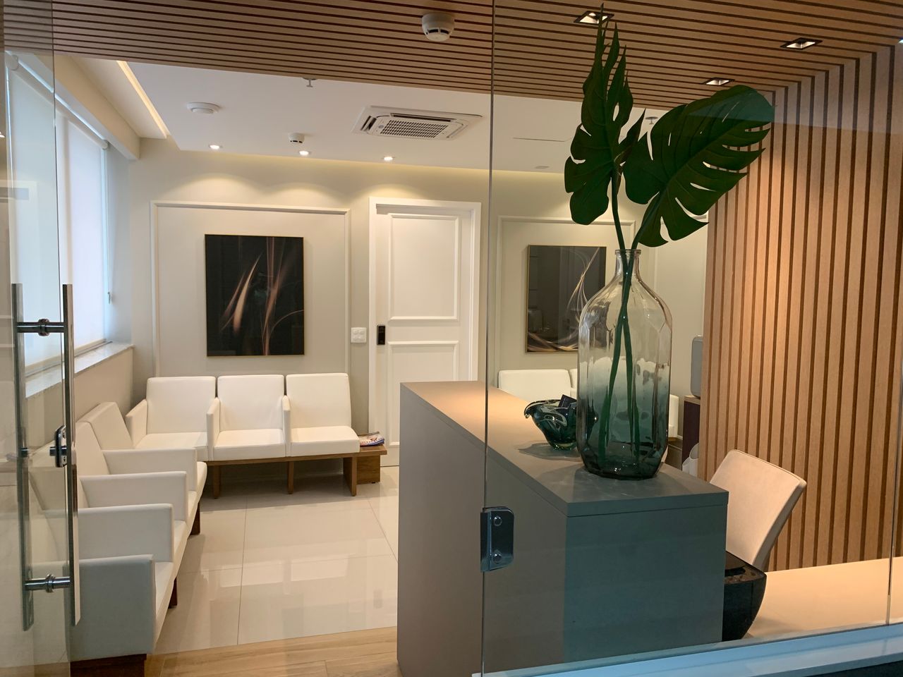 Rosane Ribeiro Figueiredo Alves-1