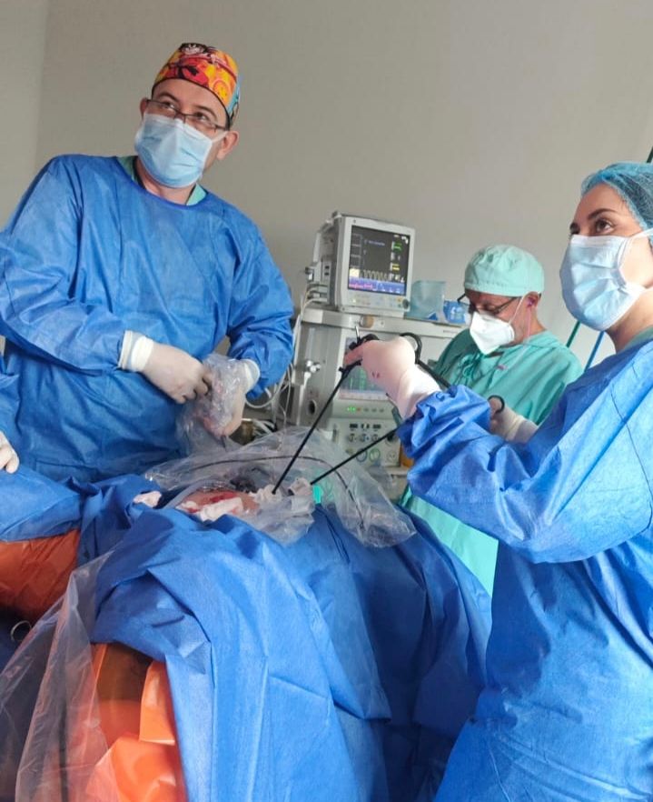 Paola Andrea Insignares Muñoz-3