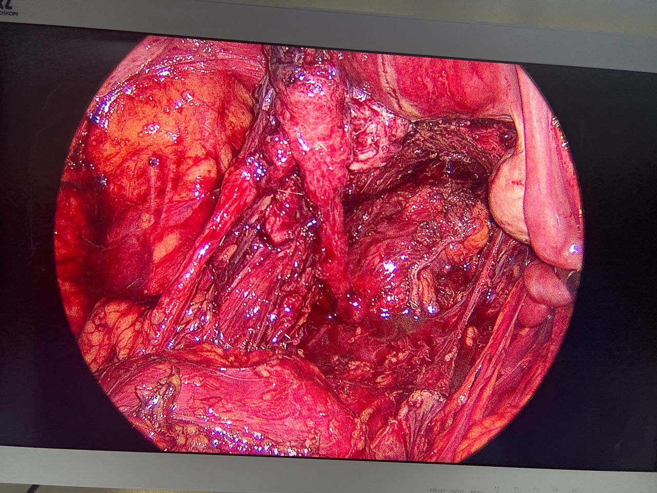 João Guilherme Pinto Vinagre-4