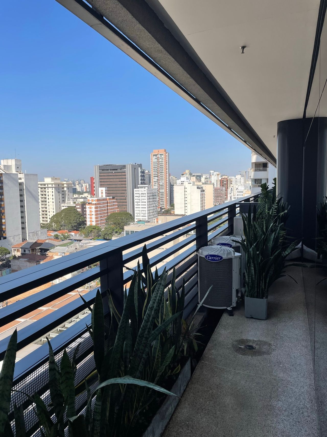 Rafaella Monterlei-2