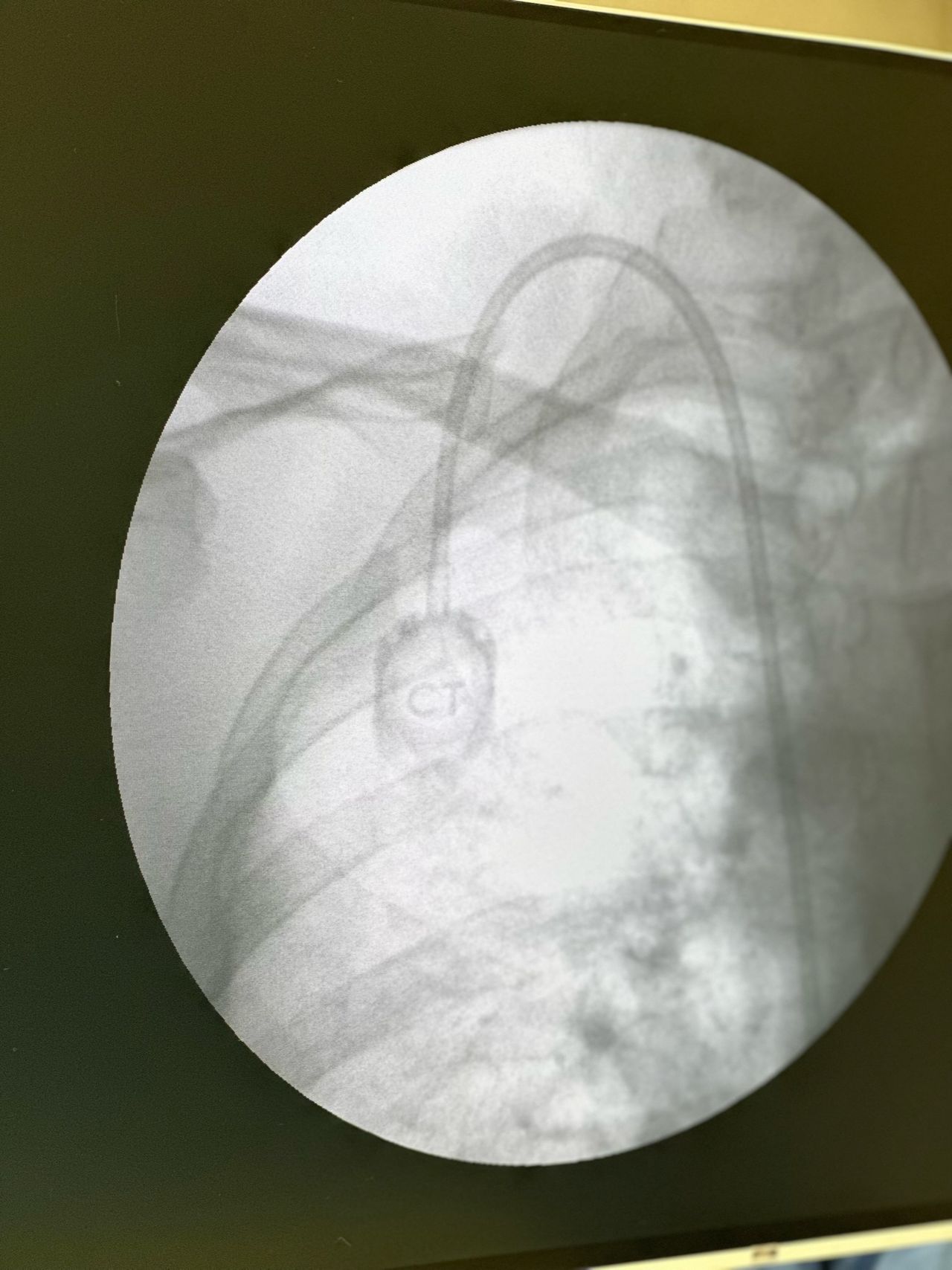 Bruna Campos  Oliveira-8