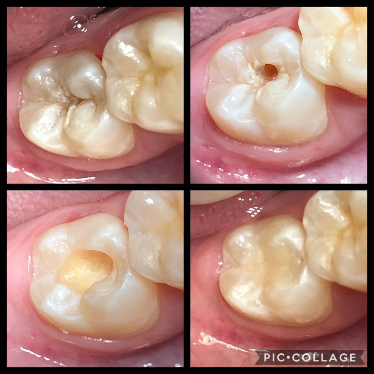 Natasha Ferreira Gandelman-16