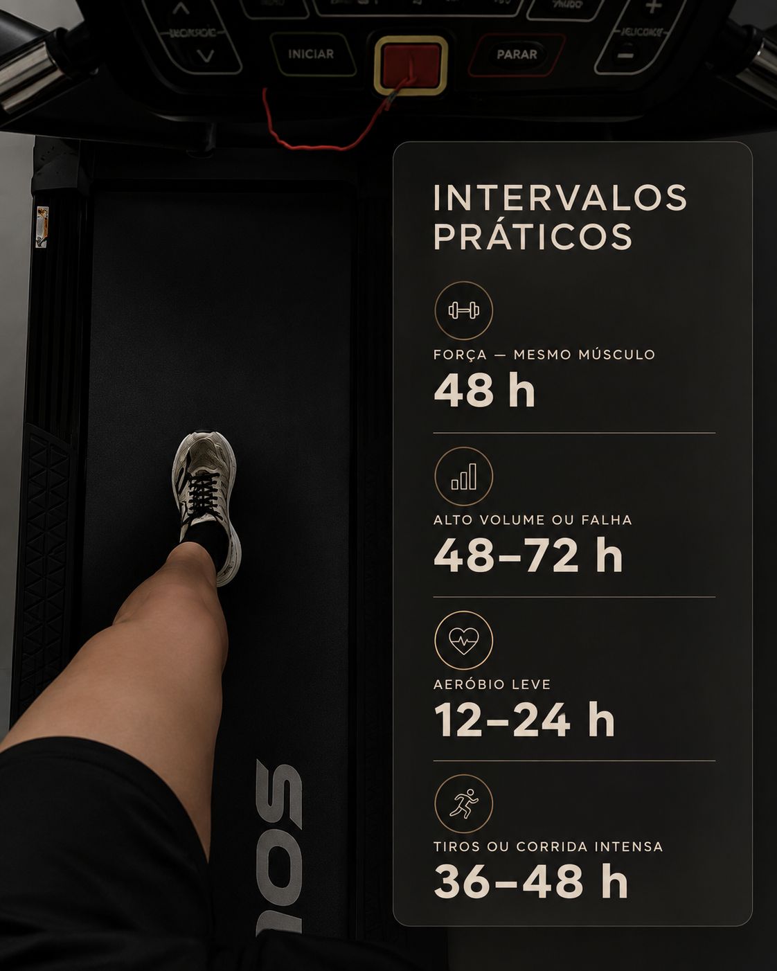 Isabel Araujo Borges-9