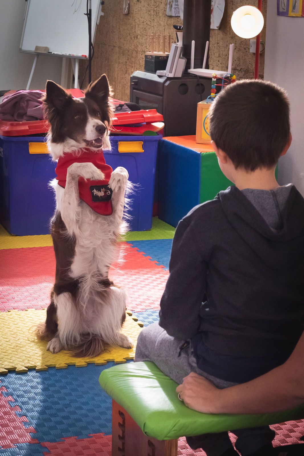 Jennifer Puglisevich Da Silva-0