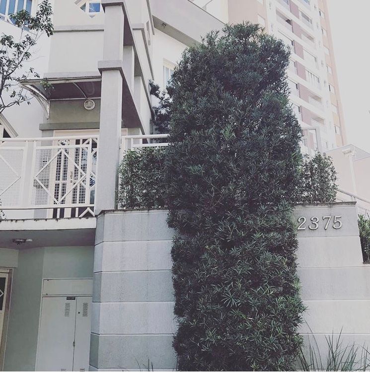 Ricardo Bovo Junqueira-2