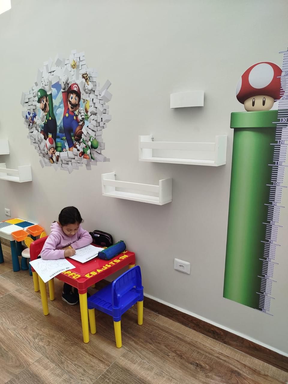 Ana Paula Bicudo  Ramos-13