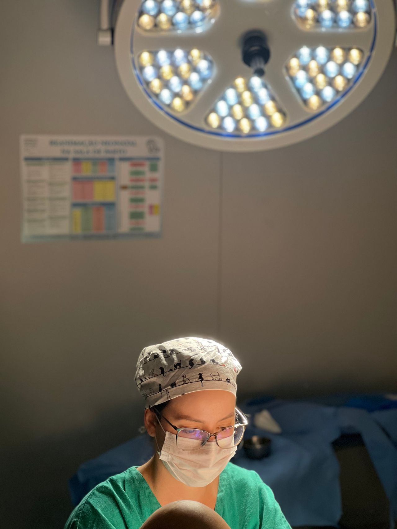 Júlia  Marques Vieira -1