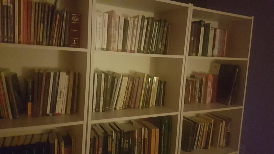 Túlio Moreira Tavares-1