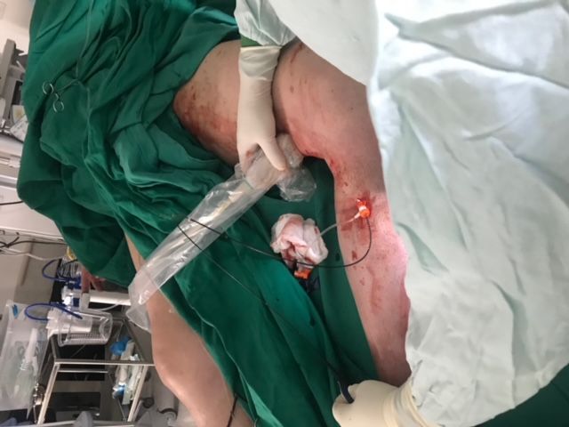 Ricardo Wagner Vasquez-14