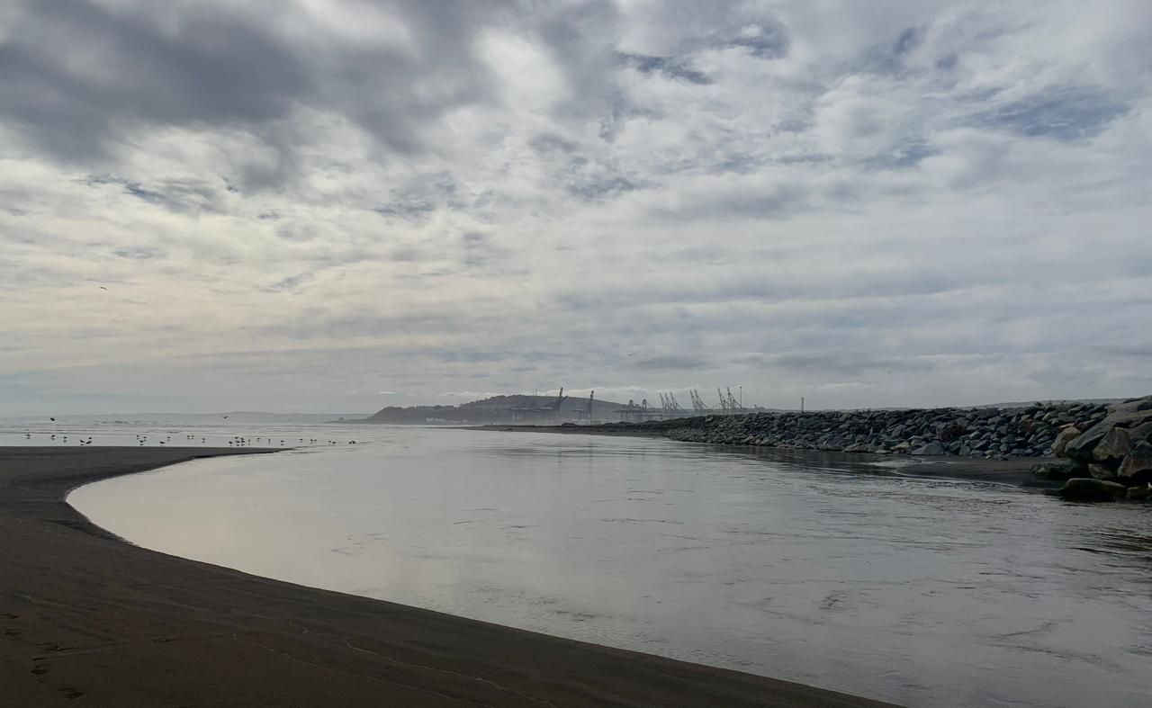 María Beatriz Valenzuela Larrañaga-4